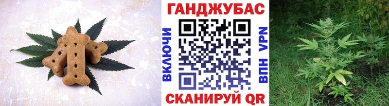 даркнет телеграм  Кадников  Canna-Cookies марихуана 