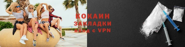 бошки Бородино