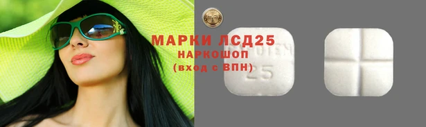 бошки Бородино