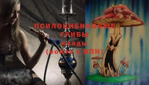не бодяженный Белокуриха