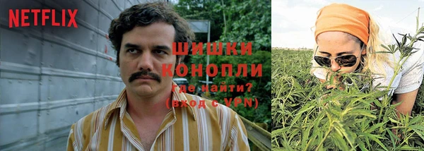 бошки Бородино