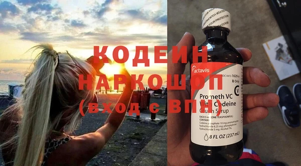 бошки Бородино