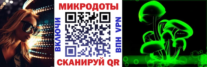 OMG ССЫЛКА Кадников Псилоцибиновые грибы Psilocybine cubensis