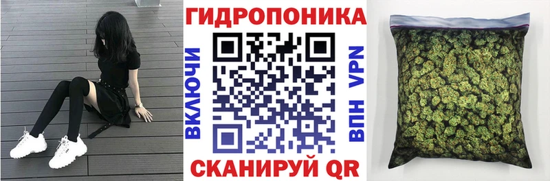 Шишки марихуана гибрид Кадников
